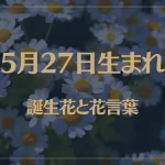 5月27日の誕生花と花言葉がコレ！性格や恋愛・仕事などの誕生日占いもご紹介！