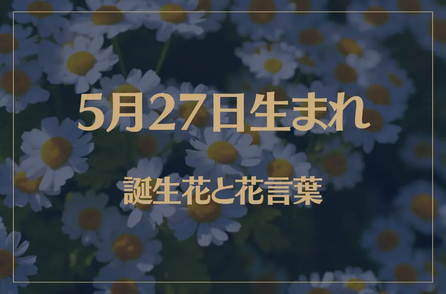 5月27日の誕生花と花言葉がコレ！性格や恋愛・仕事などの誕生日占いもご紹介！