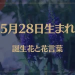 5月28日の誕生花と花言葉がコレ！性格や恋愛・仕事などの誕生日占いもご紹介！