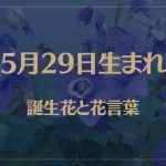 5月29日の誕生花と花言葉がコレ！性格や恋愛・仕事などの誕生日占いもご紹介！