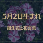 5月2日の誕生花と花言葉がコレ！性格や恋愛・仕事などの誕生日占いもご紹介！