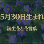 5月30日の誕生花と花言葉がコレ！性格や恋愛・仕事などの誕生日占いもご紹介！