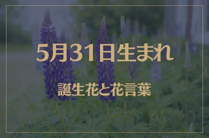 5月31日の誕生花と花言葉がコレ！性格や恋愛・仕事などの誕生日占いもご紹介！