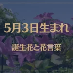5月3日の誕生花と花言葉がコレ！性格や恋愛・仕事などの誕生日占いもご紹介！