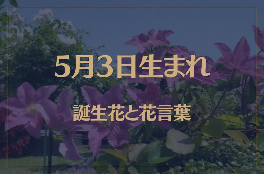 5月3日の誕生花と花言葉がコレ！性格や恋愛・仕事などの誕生日占いもご紹介！