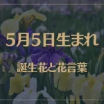 5月5日の誕生花と花言葉がコレ！性格や恋愛・仕事などの誕生日占いもご紹介！