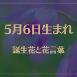 5月6日の誕生花と花言葉がコレ！性格や恋愛・仕事などの誕生日占いもご紹介！