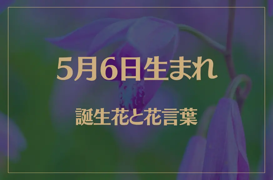 5月6日の誕生花と花言葉がコレ！性格や恋愛・仕事などの誕生日占いもご紹介！