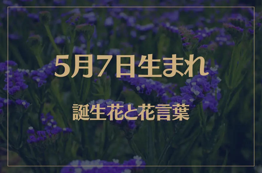 5月7日の誕生花と花言葉がコレ！性格や恋愛・仕事などの誕生日占いもご紹介！