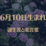 6月10日の誕生花と花言葉がコレ！性格や恋愛・仕事などの誕生日占いもご紹介！