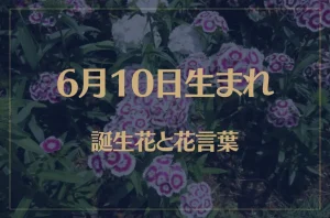 6月10日の誕生花と花言葉がコレ！性格や恋愛・仕事などの誕生日占いもご紹介！