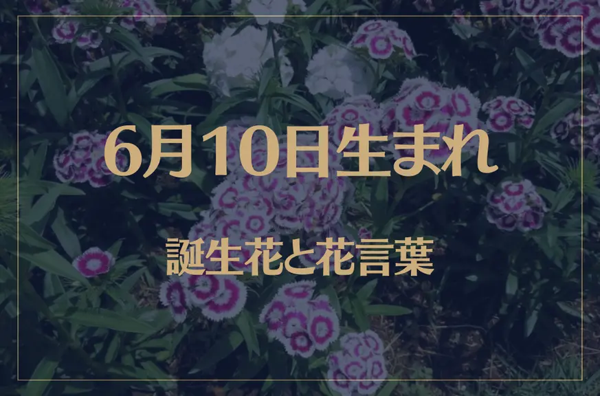 6月10日の誕生花と花言葉がコレ！性格や恋愛・仕事などの誕生日占いもご紹介！