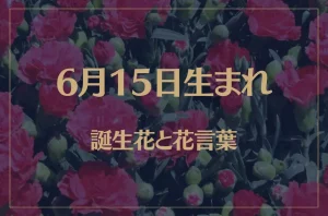 6月15日の誕生花と花言葉がコレ!性格や恋愛・仕事などの誕生日占いもご紹介!
