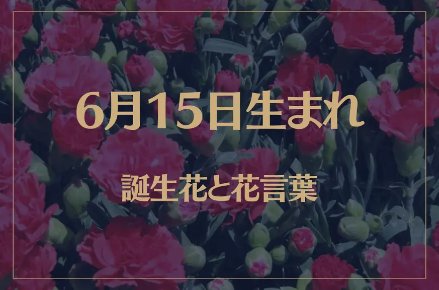 6月15日の誕生花と花言葉がコレ！性格や恋愛・仕事などの誕生日占いもご紹介！