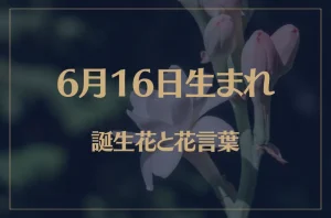6月16日の誕生花と花言葉がコレ!性格や恋愛・仕事などの誕生日占いもご紹介!
