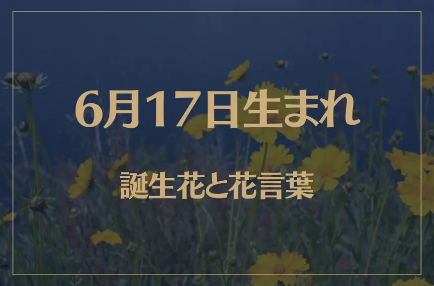 6月17日の誕生花と花言葉がコレ！性格や恋愛・仕事などの誕生日占いもご紹介！