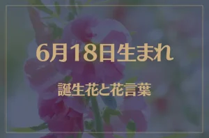 6月18日の誕生花と花言葉がコレ!性格や恋愛・仕事などの誕生日占いもご紹介!