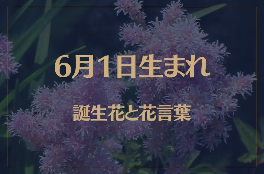 6月1日の誕生花と花言葉がコレ！性格や恋愛・仕事などの誕生日占いもご紹介！