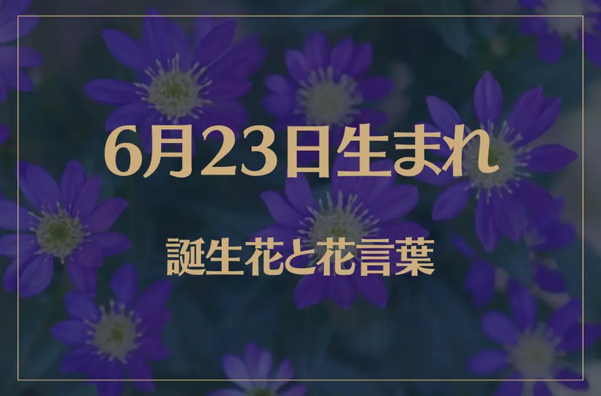 6月23日の誕生花と花言葉がコレ！性格や恋愛・仕事などの誕生日占いもご紹介！