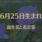 6月25日の誕生花と花言葉がコレ！性格や恋愛・仕事などの誕生日占いもご紹介！