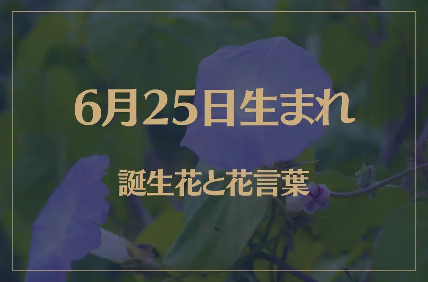 6月25日の誕生花と花言葉がコレ！性格や恋愛・仕事などの誕生日占いもご紹介！