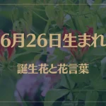 6月26日の誕生花と花言葉がコレ！性格や恋愛・仕事などの誕生日占いもご紹介！