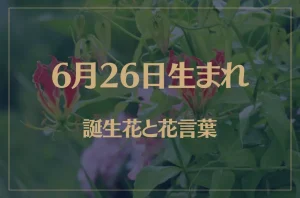 6月26日の誕生花と花言葉がコレ!性格や恋愛・仕事などの誕生日占いもご紹介!