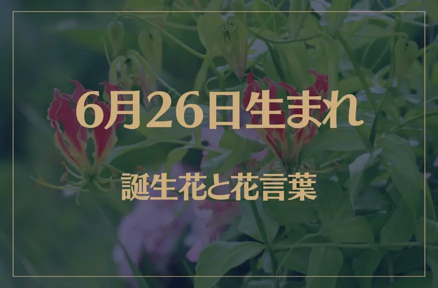 6月26日の誕生花と花言葉がコレ！性格や恋愛・仕事などの誕生日占いもご紹介！