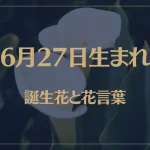 6月27日の誕生花と花言葉がコレ！性格や恋愛・仕事などの誕生日占いもご紹介！