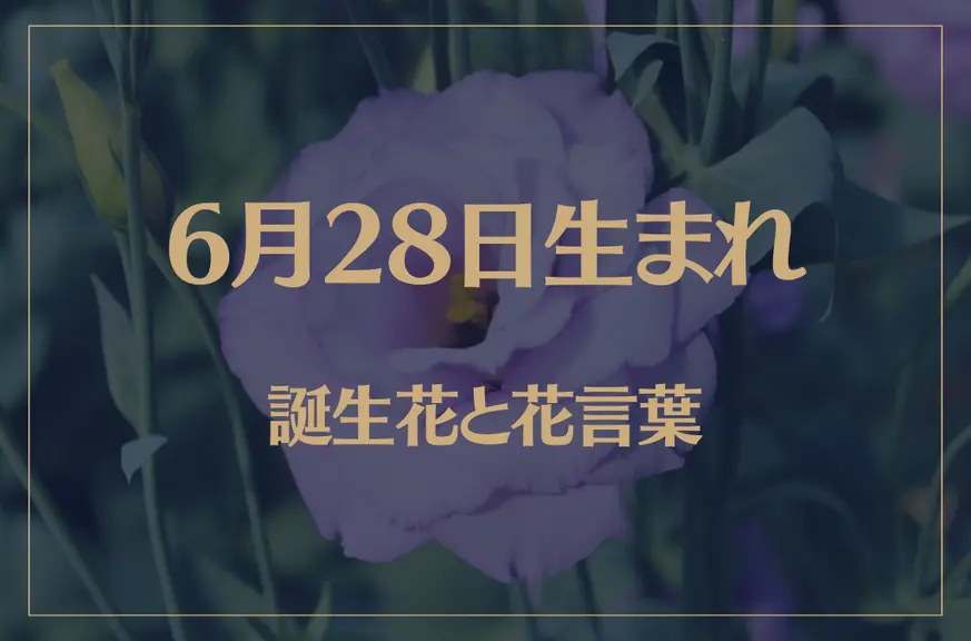 6月28日の誕生花と花言葉がコレ！性格や恋愛・仕事などの誕生日占いもご紹介！