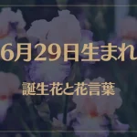 6月29日の誕生花と花言葉がコレ！性格や恋愛・仕事などの誕生日占いもご紹介！
