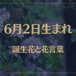 6月2日の誕生花と花言葉がコレ！性格や恋愛・仕事などの誕生日占いもご紹介！