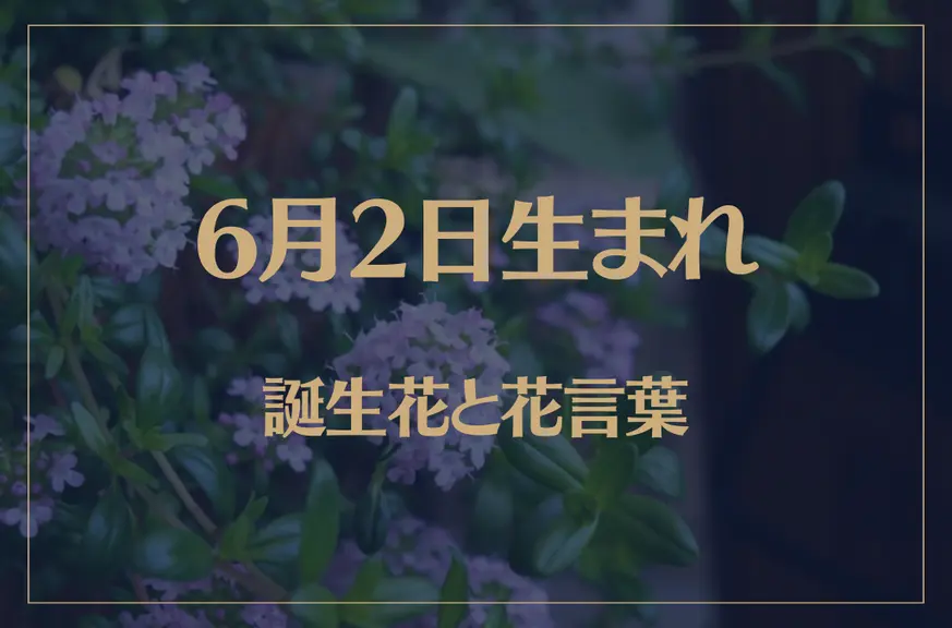 6月2日の誕生花と花言葉がコレ！性格や恋愛・仕事などの誕生日占いもご紹介！