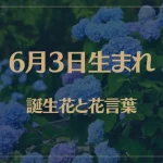6月3日の誕生花と花言葉がコレ！性格や恋愛・仕事などの誕生日占いもご紹介！