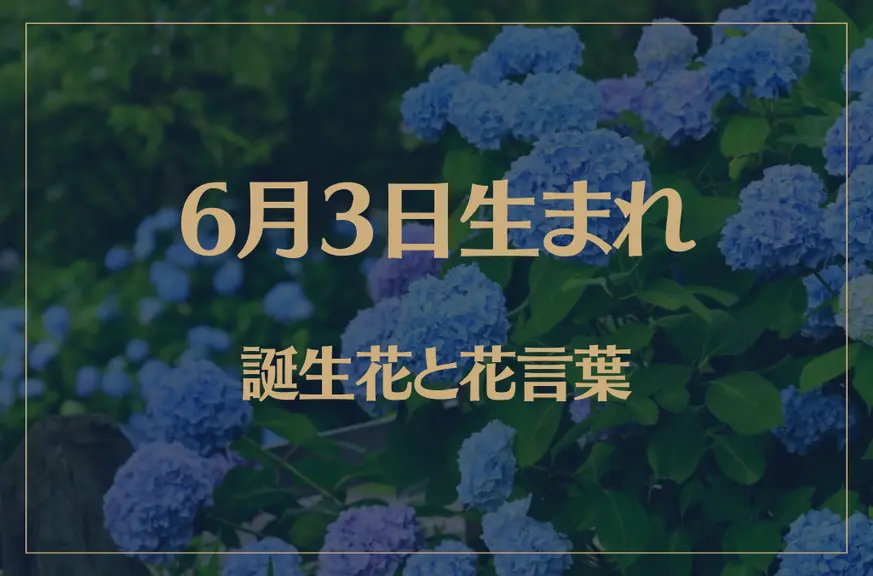 6月3日の誕生花と花言葉がコレ！性格や恋愛・仕事などの誕生日占いもご紹介！