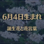6月4日の誕生花と花言葉がコレ！性格や恋愛・仕事などの誕生日占いもご紹介！
