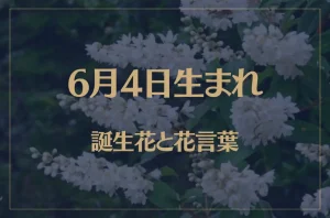 6月4日の誕生花と花言葉がコレ！性格や恋愛・仕事などの誕生日占いもご紹介！