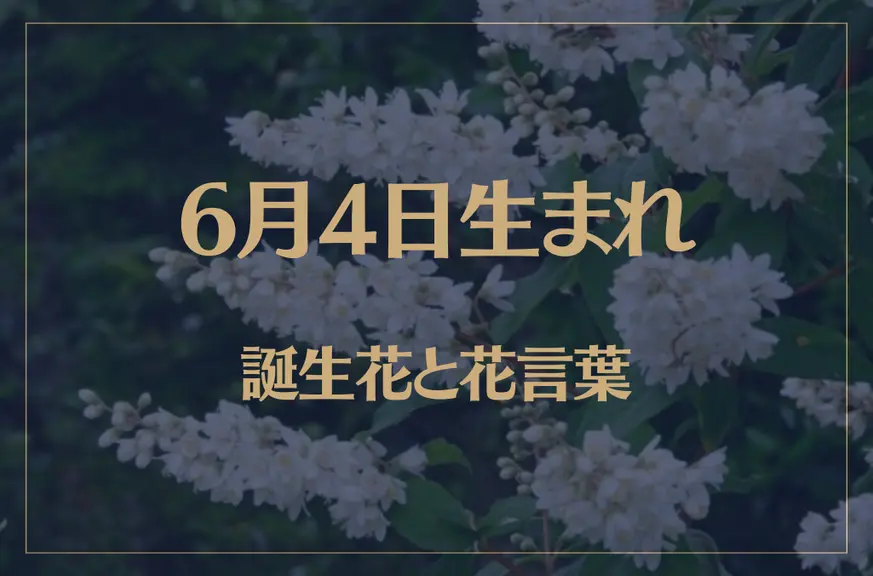 6月4日の誕生花と花言葉がコレ！性格や恋愛・仕事などの誕生日占いもご紹介！