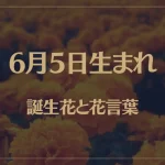 6月5日の誕生花と花言葉がコレ！性格や恋愛・仕事などの誕生日占いもご紹介！