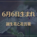 6月6日の誕生花と花言葉がコレ！性格や恋愛・仕事などの誕生日占いもご紹介！