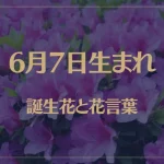 6月7日の誕生花と花言葉がコレ！性格や恋愛・仕事などの誕生日占いもご紹介！