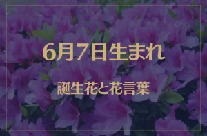 6月7日の誕生花と花言葉がコレ!性格や恋愛・仕事などの誕生日占いもご紹介!