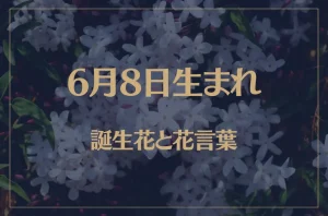 6月8日の誕生花と花言葉がコレ!性格や恋愛・仕事などの誕生日占いもご紹介!