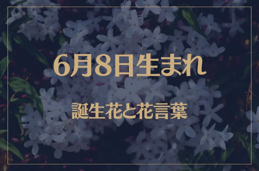 6月8日の誕生花と花言葉がコレ！性格や恋愛・仕事などの誕生日占いもご紹介！