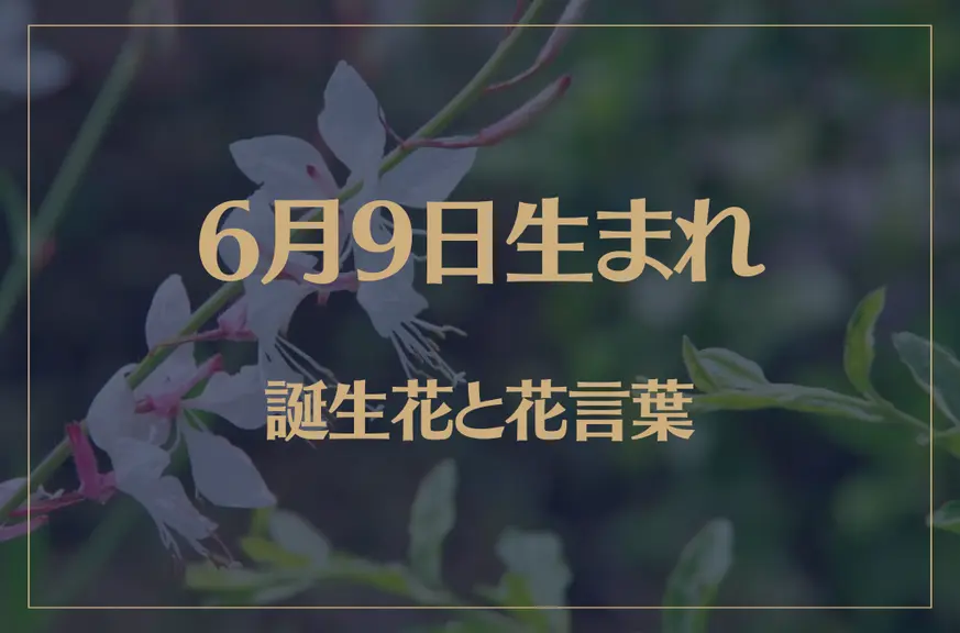 6月9日の誕生花と花言葉がコレ！性格や恋愛・仕事などの誕生日占いもご紹介！