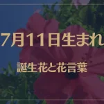 7月11日の誕生花と花言葉がコレ！性格や恋愛・仕事などの誕生日占いもご紹介！
