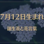 7月12日の誕生花と花言葉がコレ！性格や恋愛・仕事などの誕生日占いもご紹介！