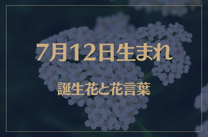 7月12日の誕生花と花言葉がコレ！性格や恋愛・仕事などの誕生日占いもご紹介！