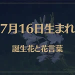 7月16日の誕生花と花言葉がコレ！性格や恋愛・仕事などの誕生日占いもご紹介！