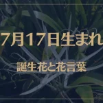 7月17日の誕生花と花言葉がコレ！性格や恋愛・仕事などの誕生日占いもご紹介！